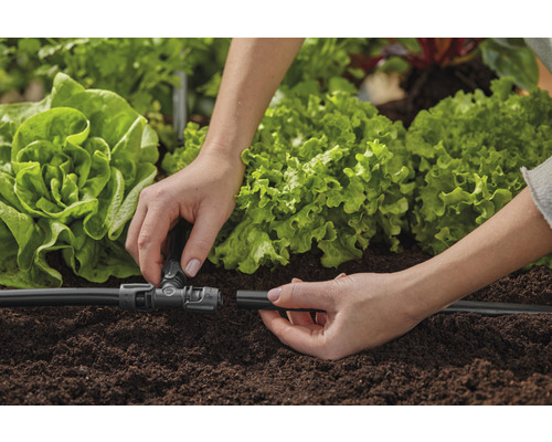 Inštalácia zavlažovacieho systému pre záhradu so šalátom