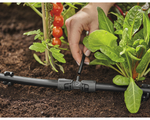 Kvapkový zavlažovací systém sa používa na zavlažovanie rastlín v záhrade.