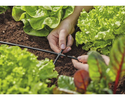 Detailný záber rúk upevňujúcich konektor k zavlažovacej hadici v zeleninovej záhrade.