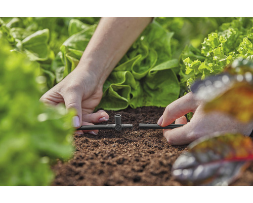 Inštalácia zavlažovacieho systému v záhrade so šalátovými rastlinami