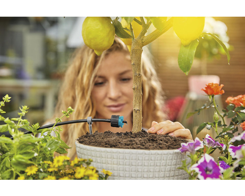 Žena zavlažuje citrónovník v kvetináči pomocou zavlažovacieho systému