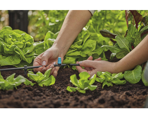 Inštalácia zavlažovacieho systému v záhradnom záhone