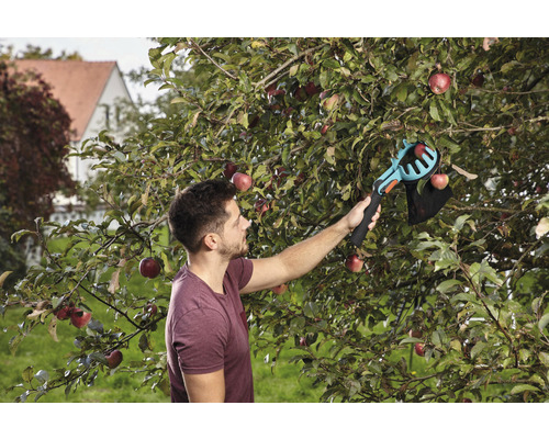 Muž zbiera jablká pomocou zberača jabĺk v záhrade.