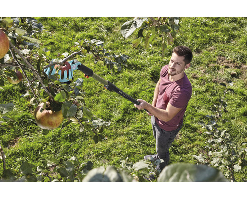 Muž zbiera jablká zo stromu pomocou zberača ovocia