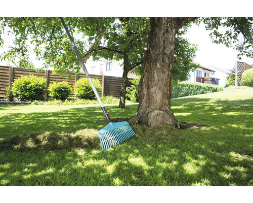 Záhrada s trávnikom, stromom a hrabľami pre záhradníctvo