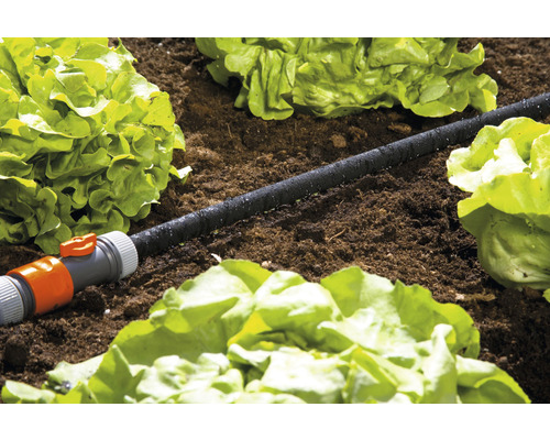 Kvapková hadica na zavlažovanie záhrady medzi šalátmi