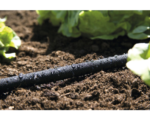 Zavlažovacia hadica v záhradnom záhone s rastlinami