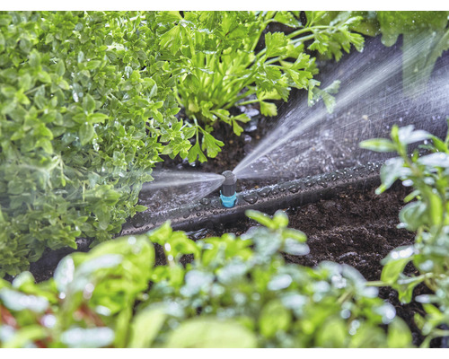 Zavlažovací systém v prevádzke medzi rastlinami v záhrade