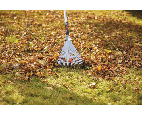 Hrable na trávniku s lístím