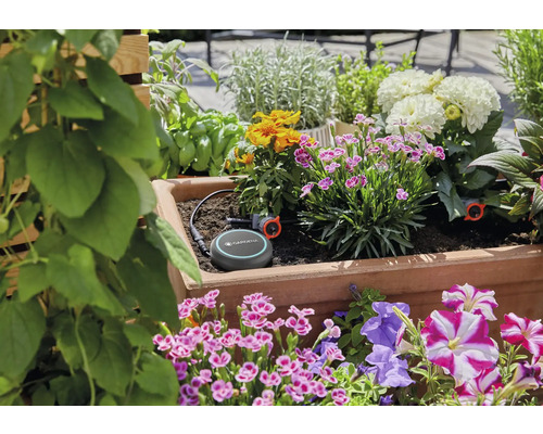 Zavlažovací systém Gardena Smart v kvetináči s rôznymi rastlinami