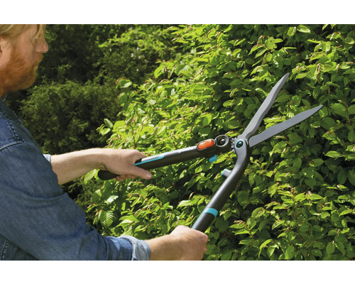 Osoba strihá živý plot nožnicami na živý plot.