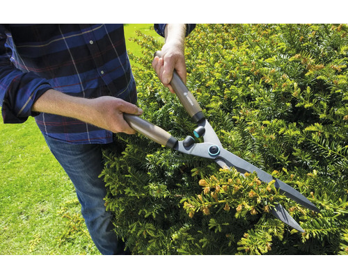 Osoba strihá živý plot nožnicami na živý plot.