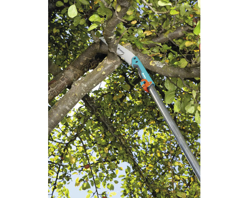 Pílka na konáre Gardena na konári stromu v akcii