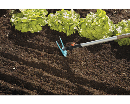 Záhradná motyka pri práci vedľa rastlín šalátu