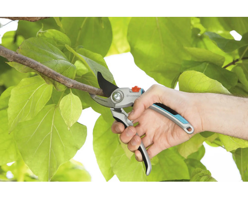 Záhradné nožnice strihajú konár na pozadí zelených listov.