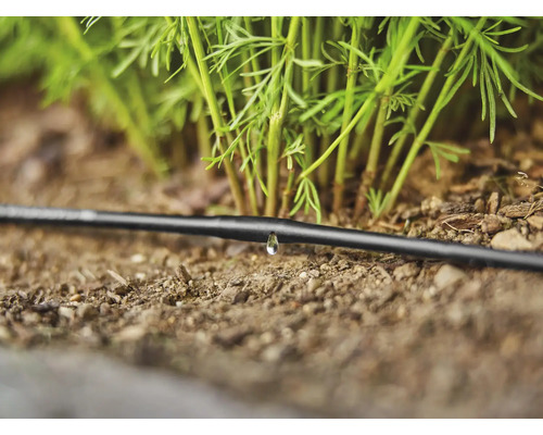 Zavlažovací systém Kvapková hadica s kvapkou vody v blízkosti rastlín