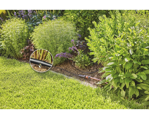 Kvapkový zavlažovací systém v záhrade na zavlažovanie rastlín