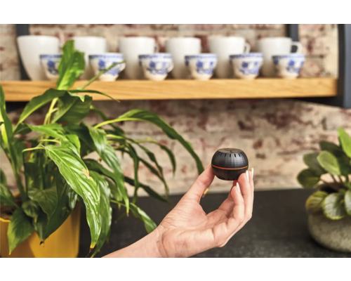 Ruka drží okrúhly čierny senzor rastlín pred izbovou rastlinou a šálkami.