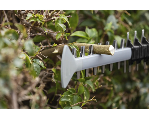 Nožnice na živý plot strihajú konár