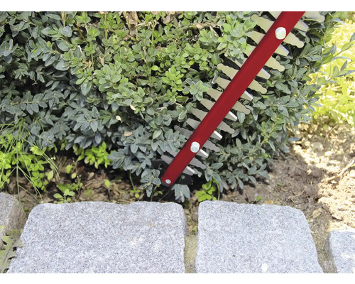 Nožnice na živý plot pri strihaní živého plota