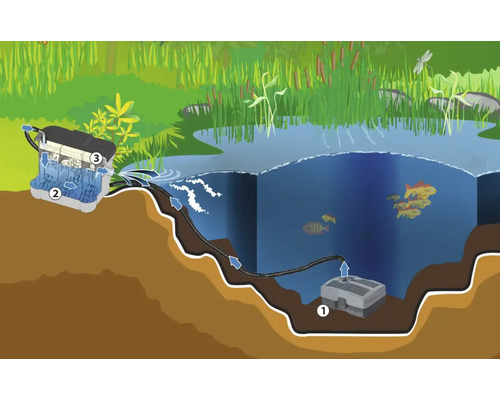 Ilustrácia záhradného jazierka s jazierkovým čerpadlom a filtračným systémom na čistenie vody