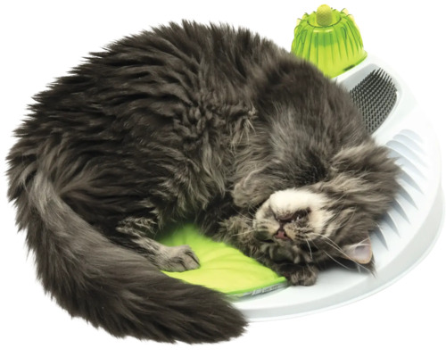 Mačka leží na interaktívnej hračke pre mačky.