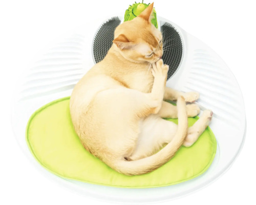 Mačka leží na škrabadle s vankúšom