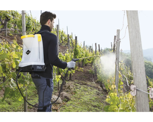 Muž používa chrbtový postrekovač vo vinici na ničenie škodcov.