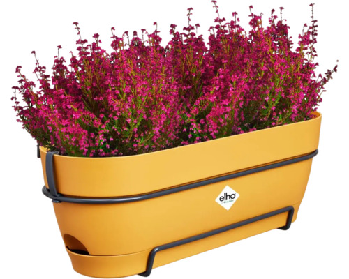 Plastový kvetináč s vresom a držiakom