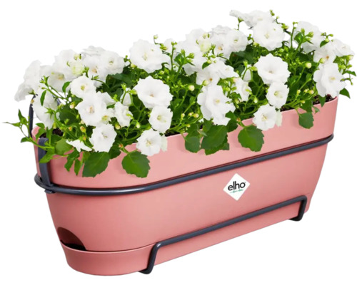 Kvetináč s bielymi kvetmi a držiakom