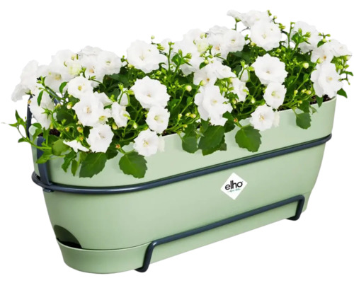 Kvetináč s bielymi kvetmi a závesom