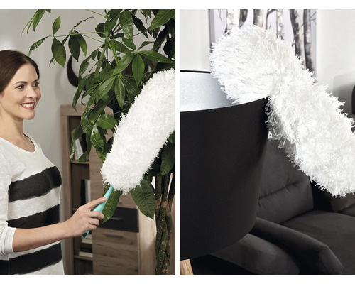 Žena čistí izbovú rastlinu prachovkou