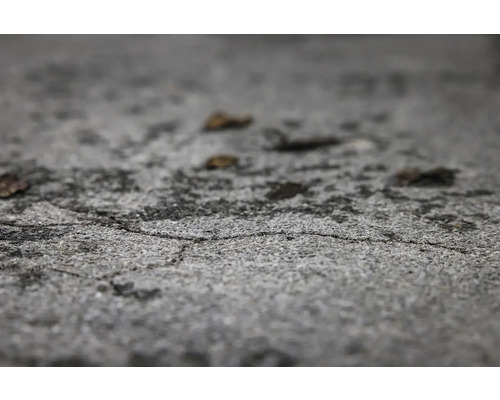 Detail betónového povrchu s prasklinami a niekoľkými listami