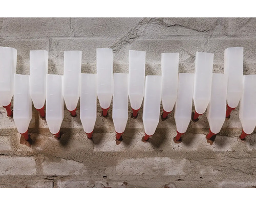 Niekoľko bielych fliaš na pitie s červeným uzáverom na stene