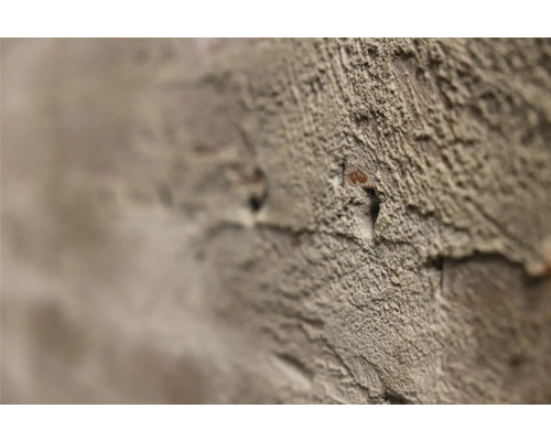Detail omietnutej tehlovej steny