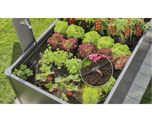 Vyvýšený záhon so zavlažovacím systémom a rôznymi rastlinami