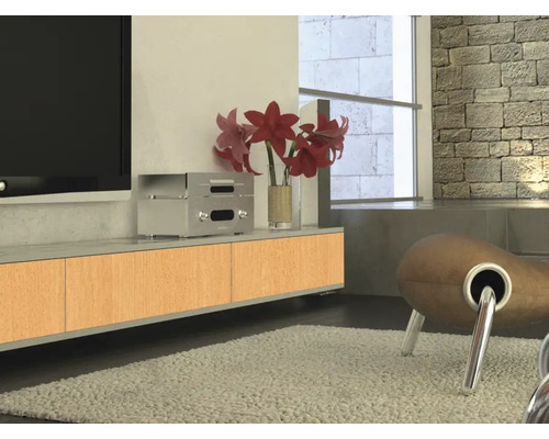 Obývacia izba s televízorom, nízkou komodou, izbovou rastlinou a kreslom