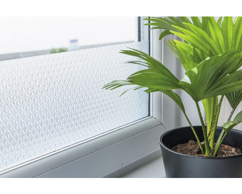 Okno s ochrannou fóliou a hrnkovou rastlinou