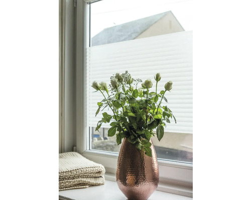 Kytica vo váze na okennom parapete pred plisovanou žalúziou