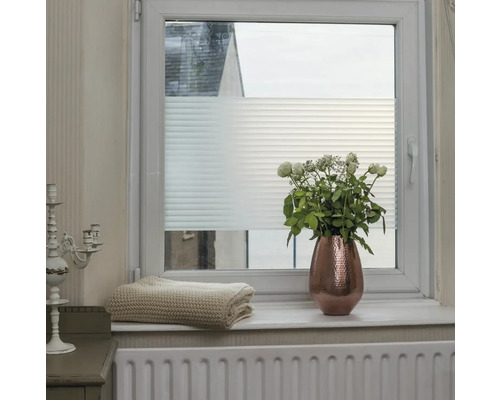 Okno s polopriehľadnou plisovanou žalúziou, dekoráciou a radiátorom