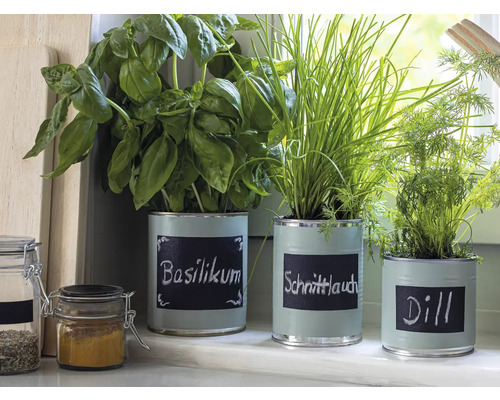 Bazalka, pažítka a kôpor v maľovaných plechovkách ako bylinková záhradka