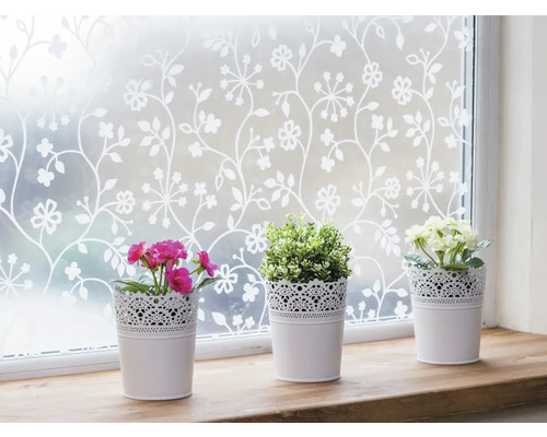 Okno s dekoratívnou fóliou na ochranu súkromia a tromi kvetináčmi