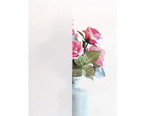 Pohľad cez mliečne sklo na ruže vo váze