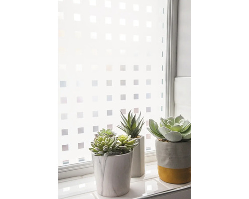 Okno s fóliou na ochranu súkromia a dekoratívnymi sukulentmi v kvetináčoch.