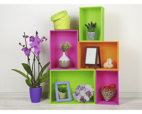 Dekoratívne nástenné police s rastlinami, rámami a dekoráciami