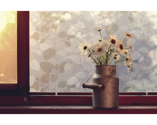 Okno fólie s motívom listov a margarétky v kanve na mlieko