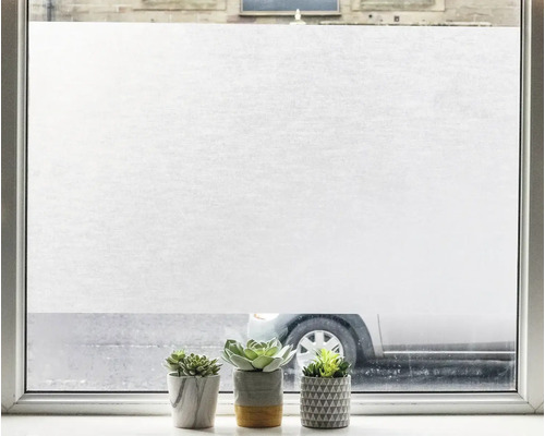 Okno s mliečnou fóliou a tromi sukulentmi