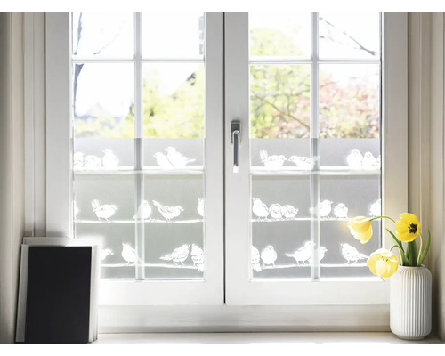 Dekoračná fólia s vtáčími motívmi na okne