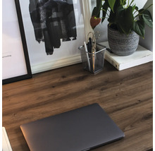 Detailný záber písacieho stola s notebookom, rastlinami a kancelárskymi potrebami