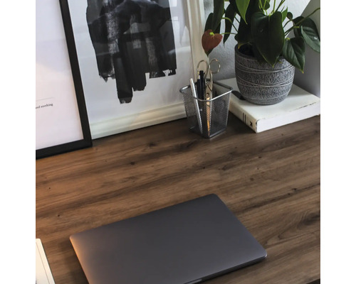 Detailný záber písacieho stola s notebookom, rastlinami a kancelárskymi potrebami